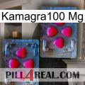 Kamagra100 Mg 14